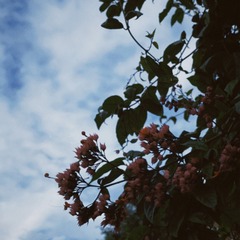 2E847BF4-941D-43D0-8F9D-4DA33E38EFBE/L0/001