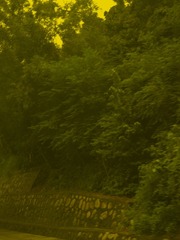 7A9CCE67-EDAF-45F6-BA95-0FDD1601E7DF/L0/001