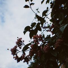 544F2A84-1B8E-47D4-A94E-D17FE94784BD/L0/001