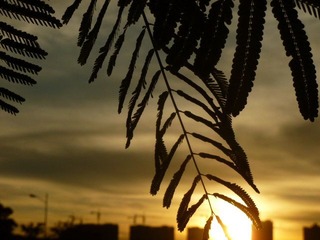 P1070044.JPG