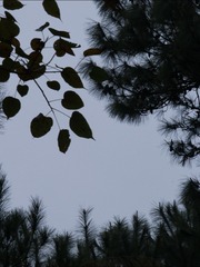 D80411FD-6E3E-49B8-BD17-9D5A1A5FA56A/L0/001