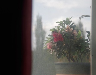 E6C168F6-5F4C-48B3-A8F9-24B8C0DDC476/L0/001