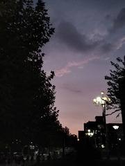 1000019589