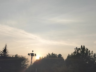 1000020172