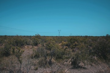 3AD69590-2207-4E23-A68E-75113BC5ED26/L0/001