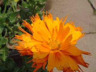 920133