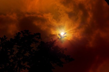 _DSC0105