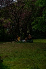 3D02AFA2-CDDC-484D-9683-4875B39E785F/L0/001