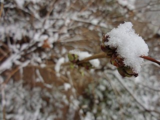 DSC00717.JPG