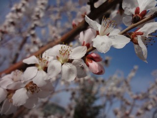 DSC00806.JPG