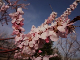 DSC00818.JPG