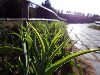 DSC00880.JPG
