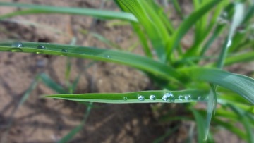 DSC01304.JPG