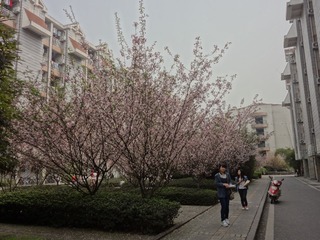 DSC03919.JPG