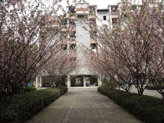 DSC03920.JPG