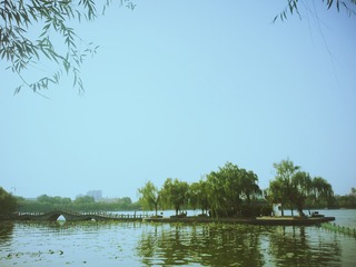 B5446A6A-6E87-4E11-8686-F62741BC3675/L0/001
