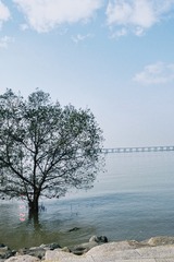 F2292E0D-63C6-4488-89EF-A24BBFB862C6/L0/001