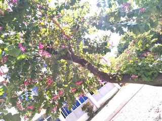489879