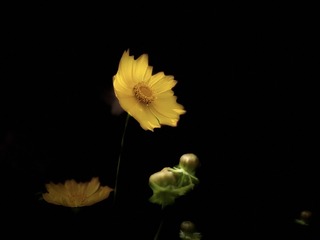94CCE224-E407-488C-A3BD-CB34F216BF9A/L0/001