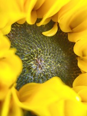 266A8D73-39FF-40C1-BDD0-C621BDB52450/L0/001
