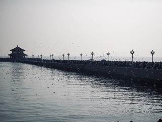 0EACF93A-40D7-40AF-8F79-A7EC620D6FFB/L0/001
