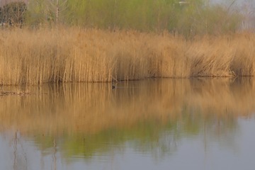 2DF1ADAE-AC89-4AE2-B190-4BDCD5F771ED/L0/001