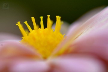 1201531