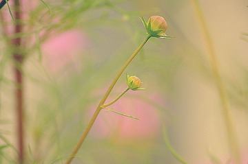 DSC_0927_