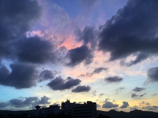 C431D8AA-7932-4413-AD24-0FBA31AF97E9/L0/001