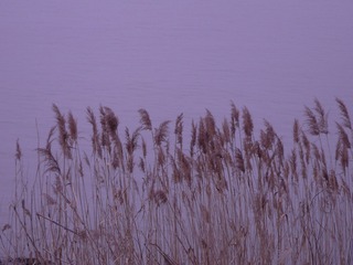 CF774AC1-71AB-4BB1-921F-26227423D968/L0/001