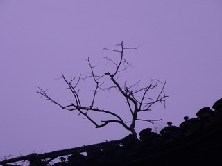 4D8AFB89-28F0-4317-A27A-4B15282FFA4A/L0/001