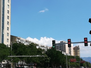 733