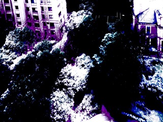 A5DBFAF7-E4FF-488C-BFEE-CB8D621F2512/L0/001