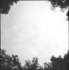 E94B9016-41B8-41CA-BDE2-ECFFBC0286E0/L0/001