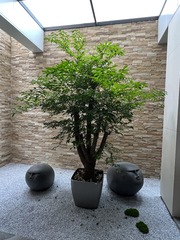 2963F200-BB74-4353-9382-7AE8E3B38629/L0/001