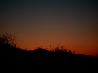 270221