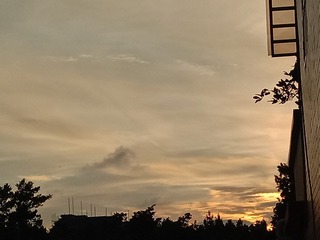 748838
