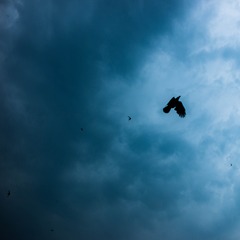 L1012776