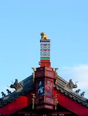 狮.jpg
