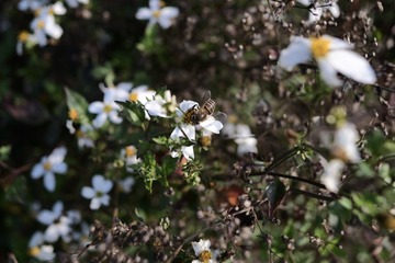 DF550097-DF01-4FE5-A126-ED32C9DD8040/L0/001