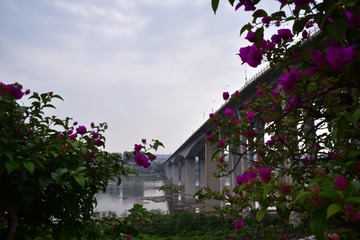 53BC0E62-09BC-4CDE-8FBF-A6195D4BCCAD/L0/001