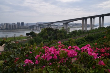 12403B0C-0AC7-4432-BFEE-63DC3815CF39/L0/001