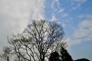 35A2D22F-1DEB-4E44-B93E-B03C924B465D/L0/001
