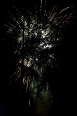 5FB7BE42-1902-4069-9A7D-CD239CA3CC2B/L0/001