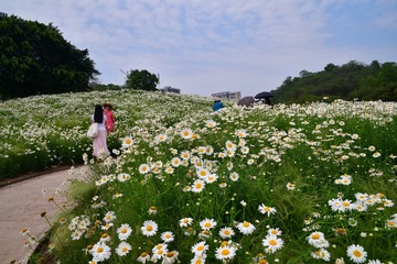 A5147AA7-6BD4-40D7-870C-42E5D6846153/L0/001