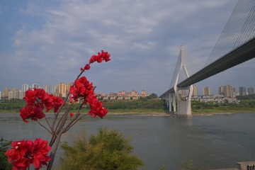 CB1B6A30-5E09-4730-83C7-643901556476/L0/001