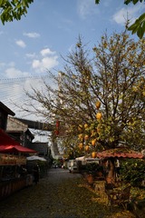 9D35A2EC-8D29-4EE5-B144-7F5D30D95FB5/L0/001