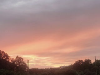 F7FBFC94-AE6F-4585-A7EA-D6EBBD05FF22/L0/001