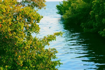IMG_5643.JPG