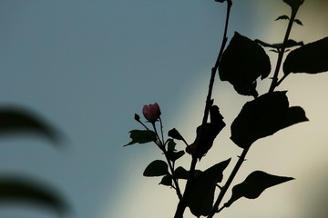 F1F5691E-5530-42F4-84FB-A8C359A89F17/L0/001
